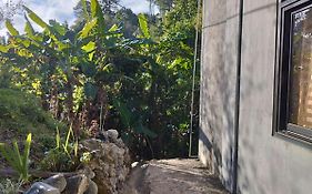 Ajjaa'S Place